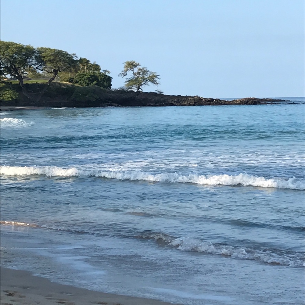 Meet your Posher, Brenley